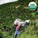 Colombia Organic-RFA Antioquia Excelso